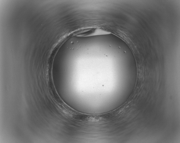 X0000056010346200509092118