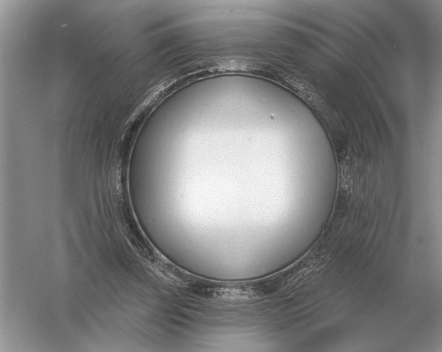 X0000056010347200509092118