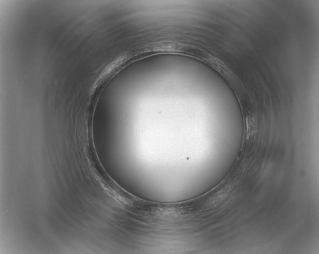 X0000056010349200509092118