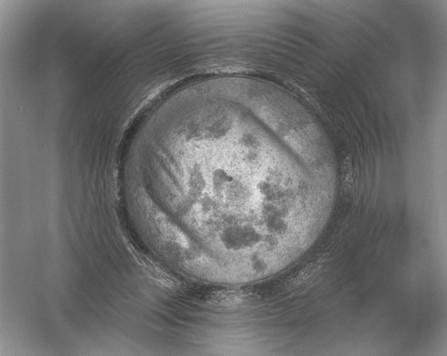 X0000056010351200509092118