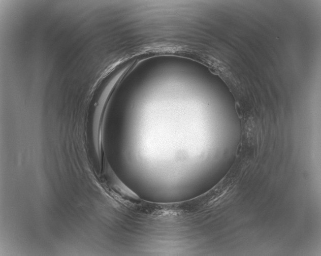 X0000056010352200509092118