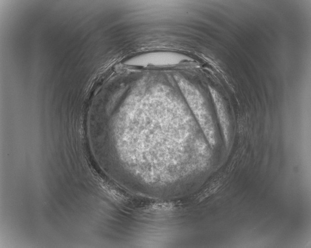 X0000056010353200509092118