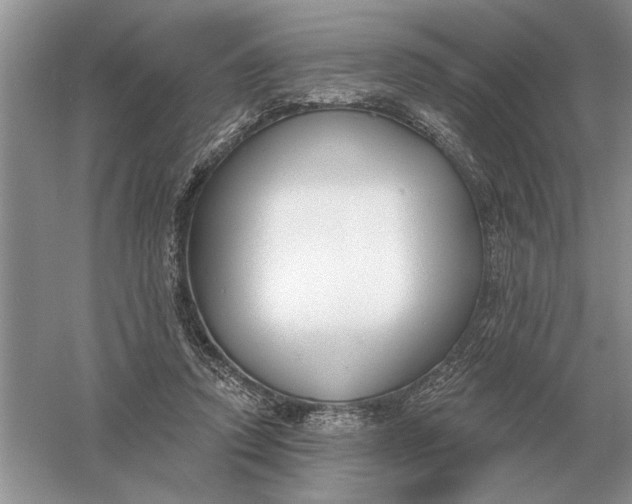 X0000056010354200509092118