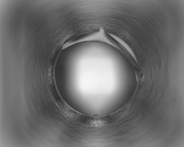 X0000056010360200509092118