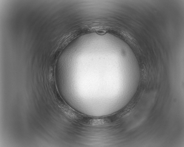 X0000056010361200509092118