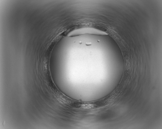 X0000056010363200509092118