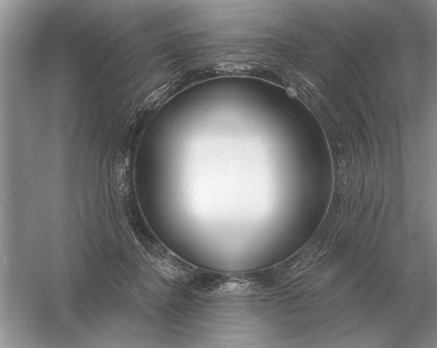 X0000056010364200509092118