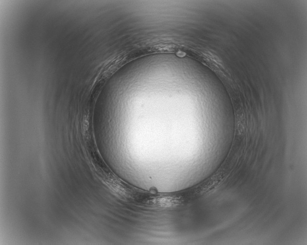 X0000056010365200509092118