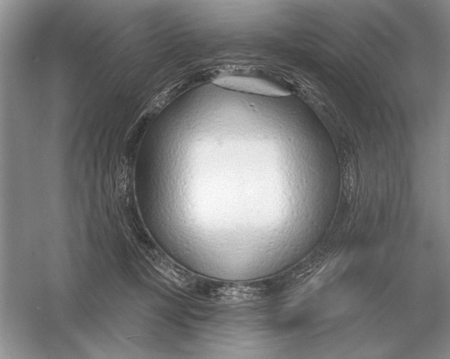 X0000056010367200509092118