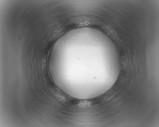 X0000056010369200509092118