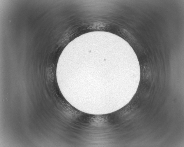 X0000056010370200509092118