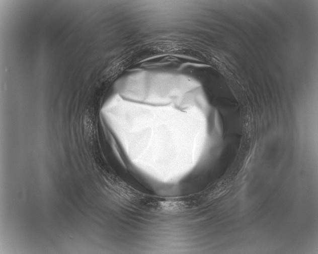 X0000056010371200509092118