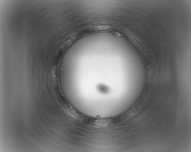 X0000056010373200509092118