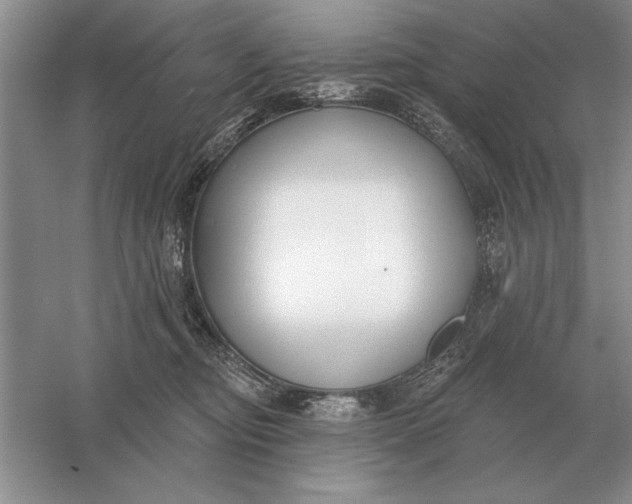 X0000056010374200509092118