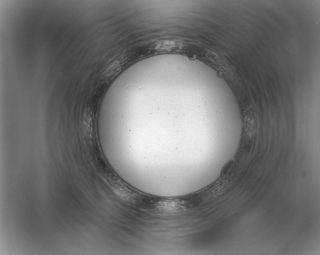 X0000056010375200509092118