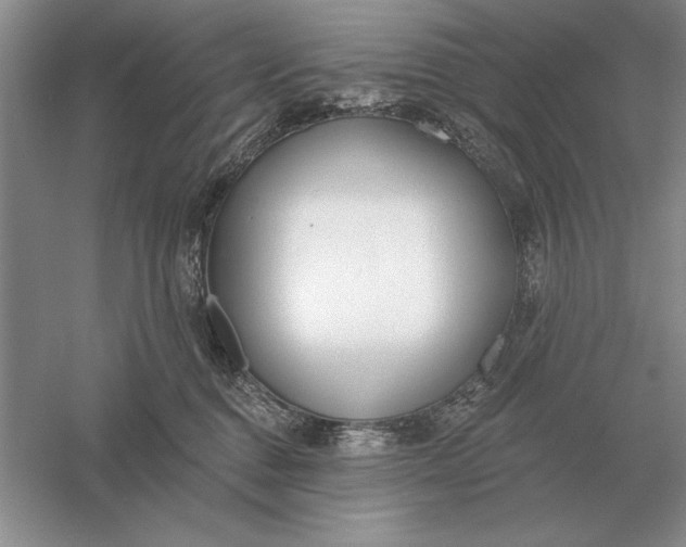 X0000056010376200509092118