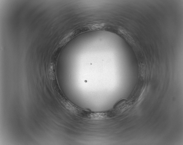 X0000056010378200509092118