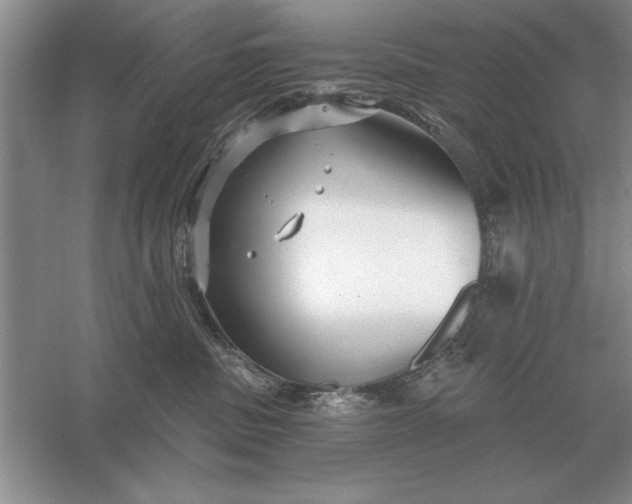 X0000056010379200509092118