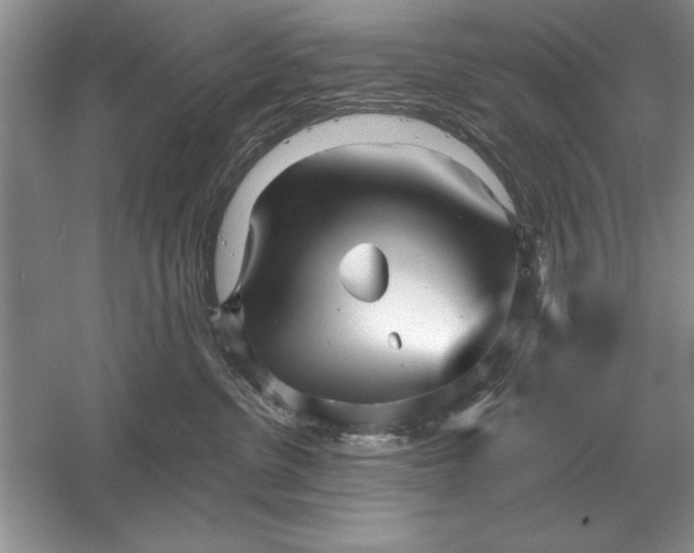 X0000056010380200509092118