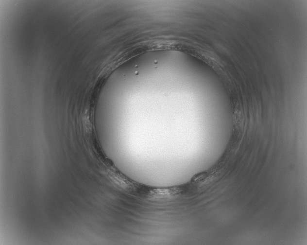 X0000056010381200509092118