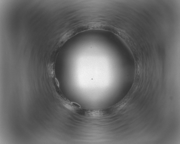 X0000056010383200509092118