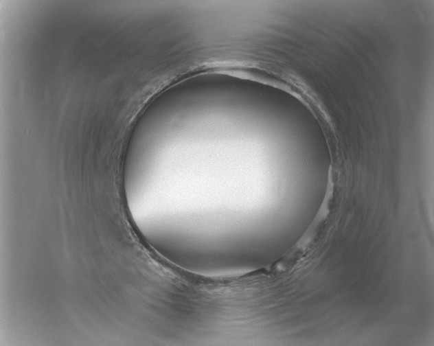 X0000056010385200509092118