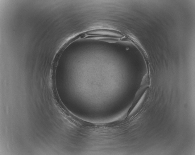 X0000056010387200509092117