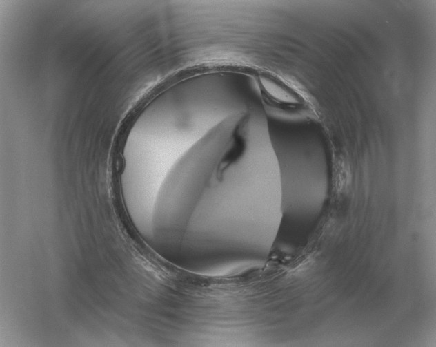 X0000056010391200509092117