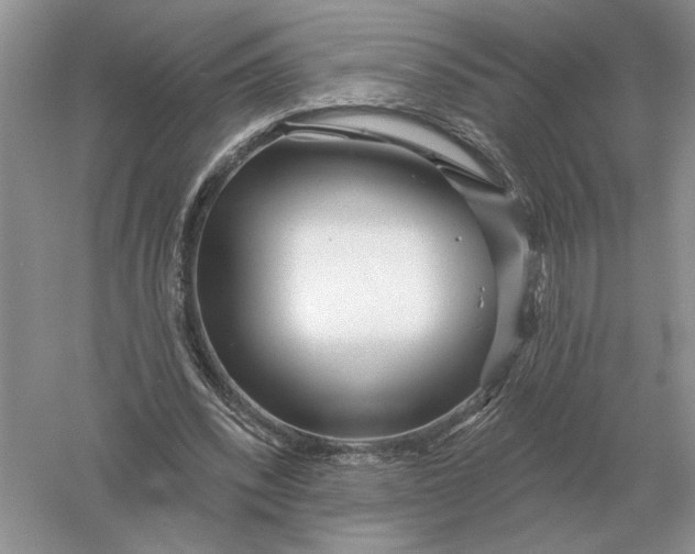 X0000056010392200509092117