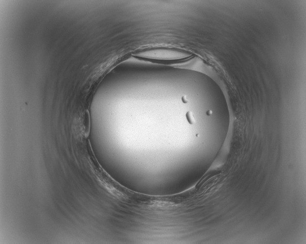 X0000056010393200509092117