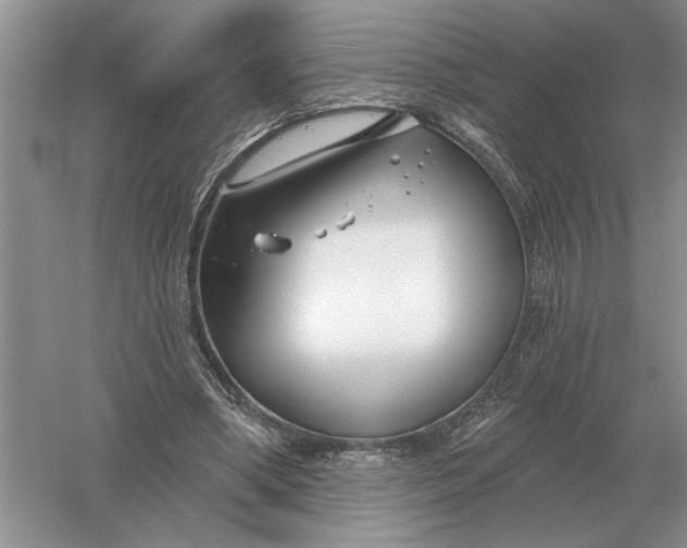 X0000056010394200509092117