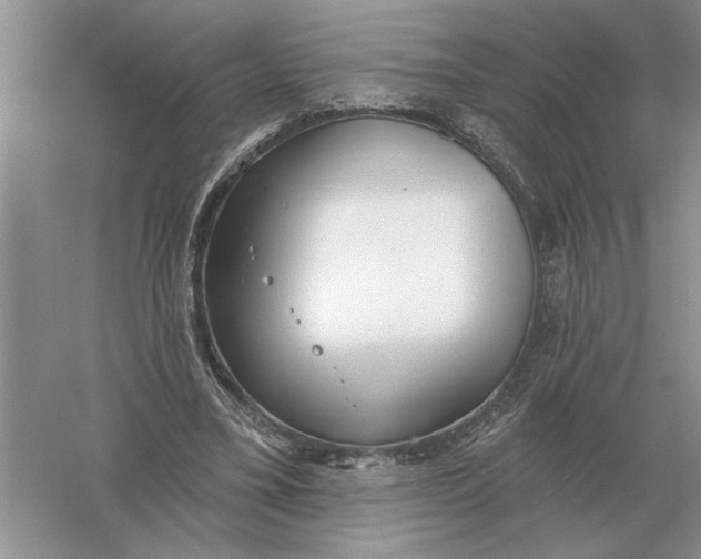 X0000056010395200509092117