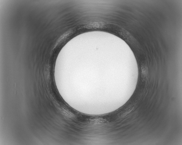 X0000056010396200509092117