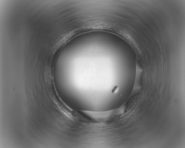 X0000056010397200509092117