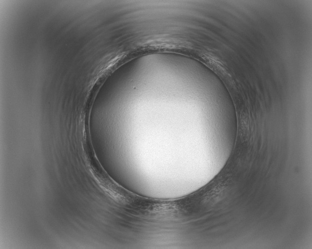 X0000056010398200509092117