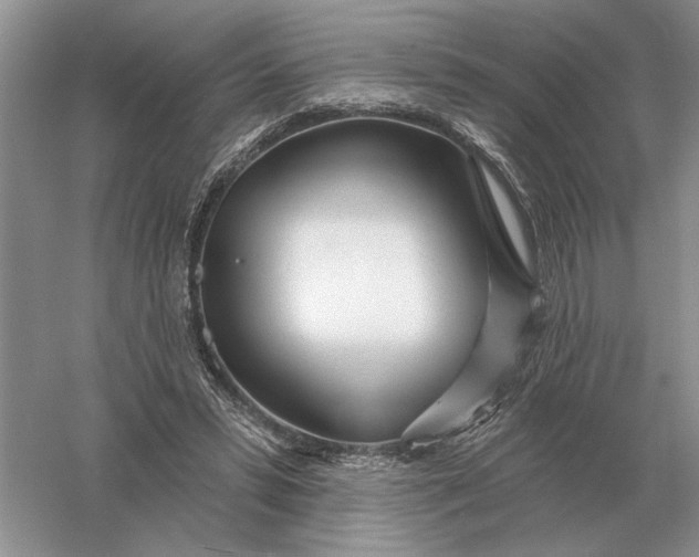 X0000056010399200509092117