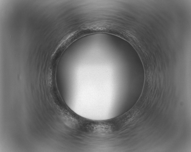 X0000056010400200509092117