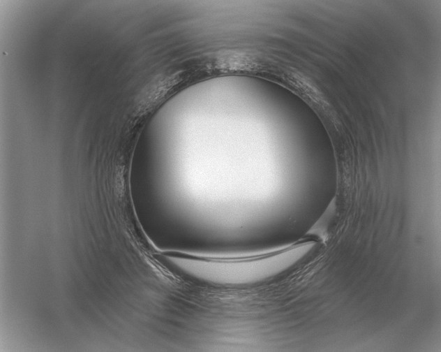 X0000056010401200509092117