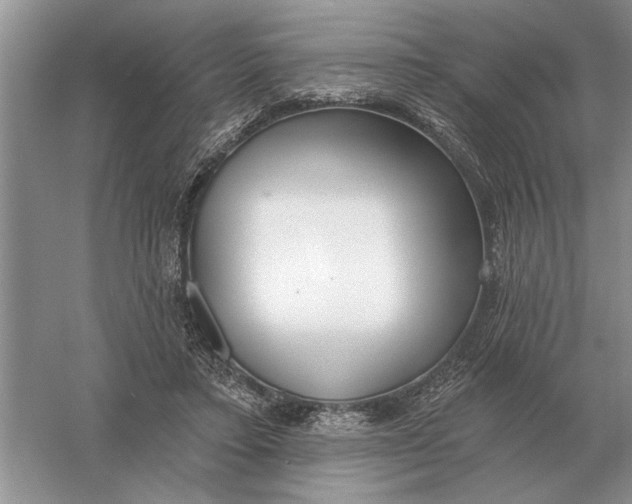 X0000056010403200509092117