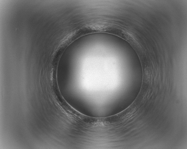 X0000056010404200509092117