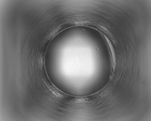 X0000056010405200509092117