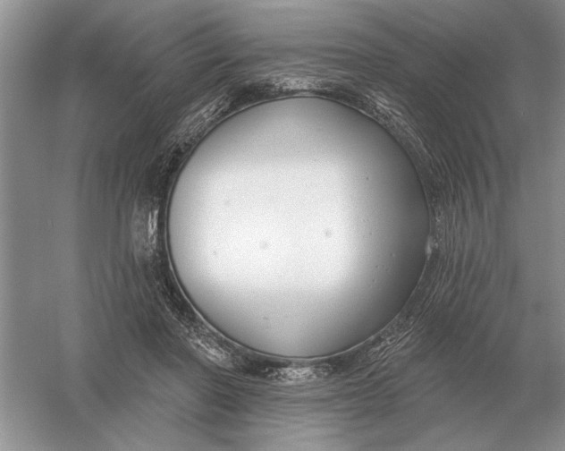 X0000056010406200509092117