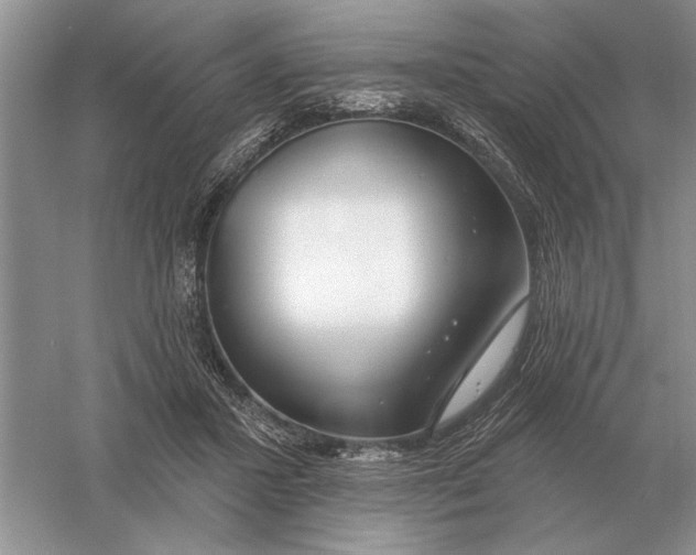 X0000056010407200509092117