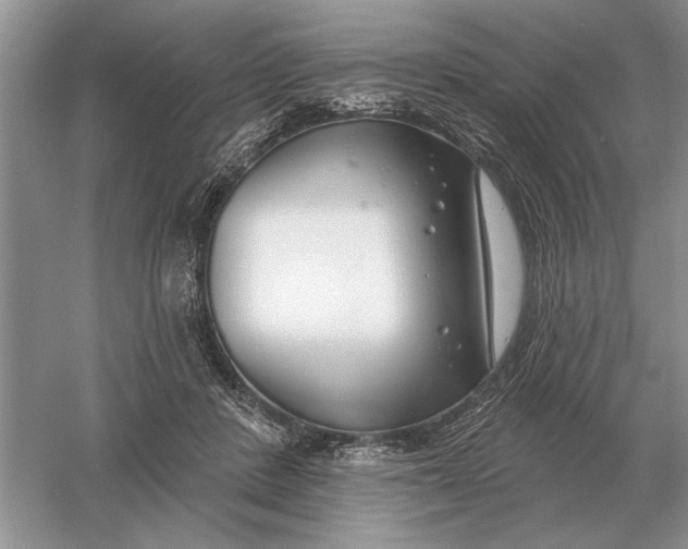 X0000056010408200509092117