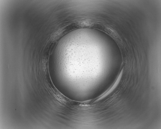 X0000056010409200509092117