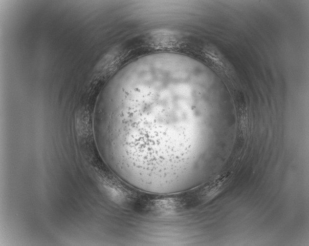 X0000056010411200509092117