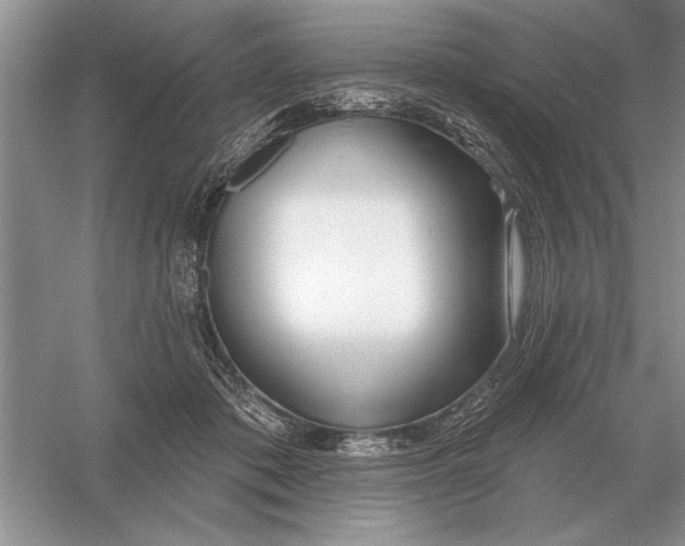 X0000056010413200509092117