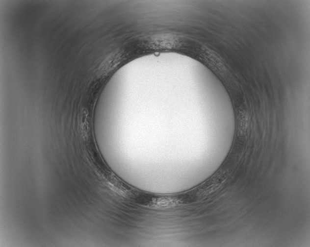 X0000056010414200509092117