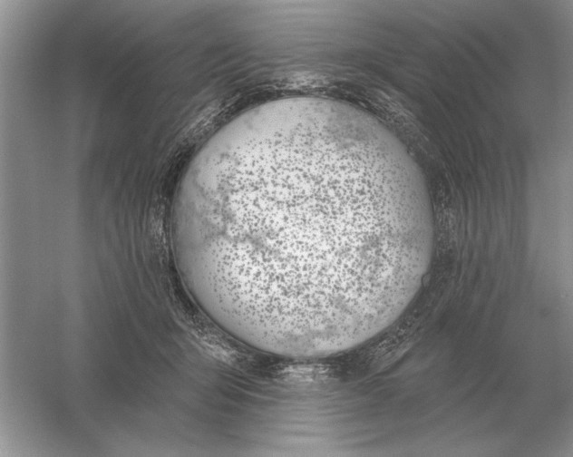 X0000056010415200509092117