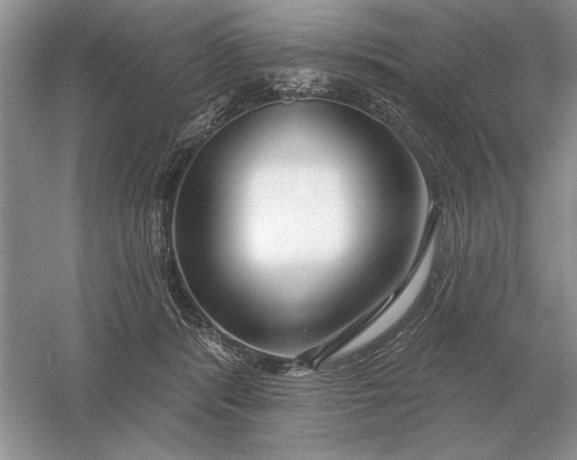 X0000056010416200509092117